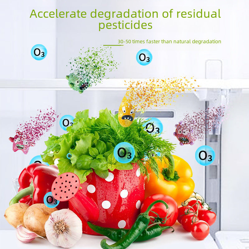 Portable Ozone Deodorizer
