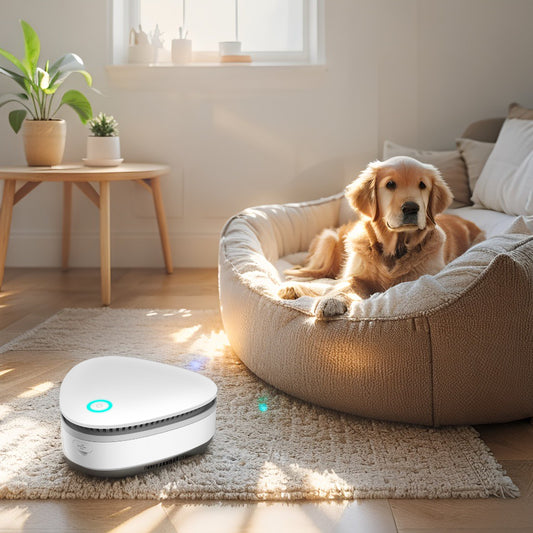 Portable Ozone Deodorizer